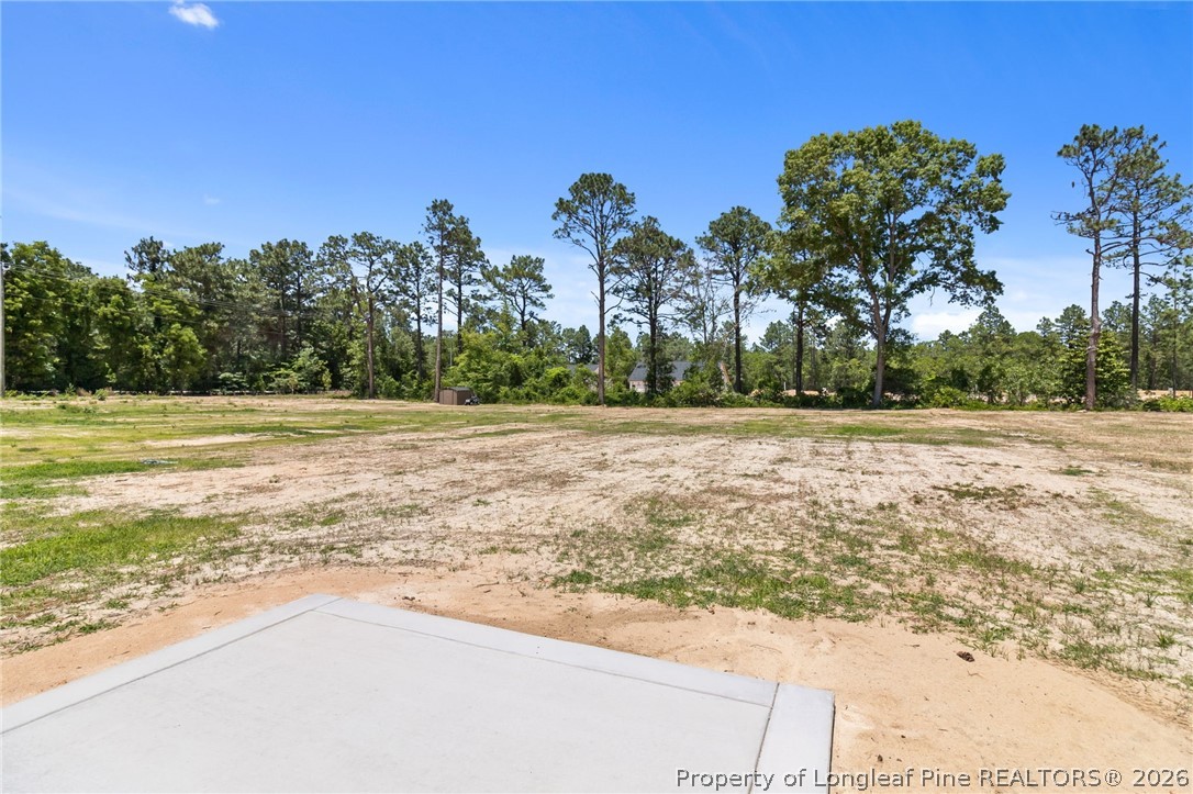 131 Merle Road Pinebluff, NC 28373 - Photo 30 of 33 a view of a yard with an outdoor space