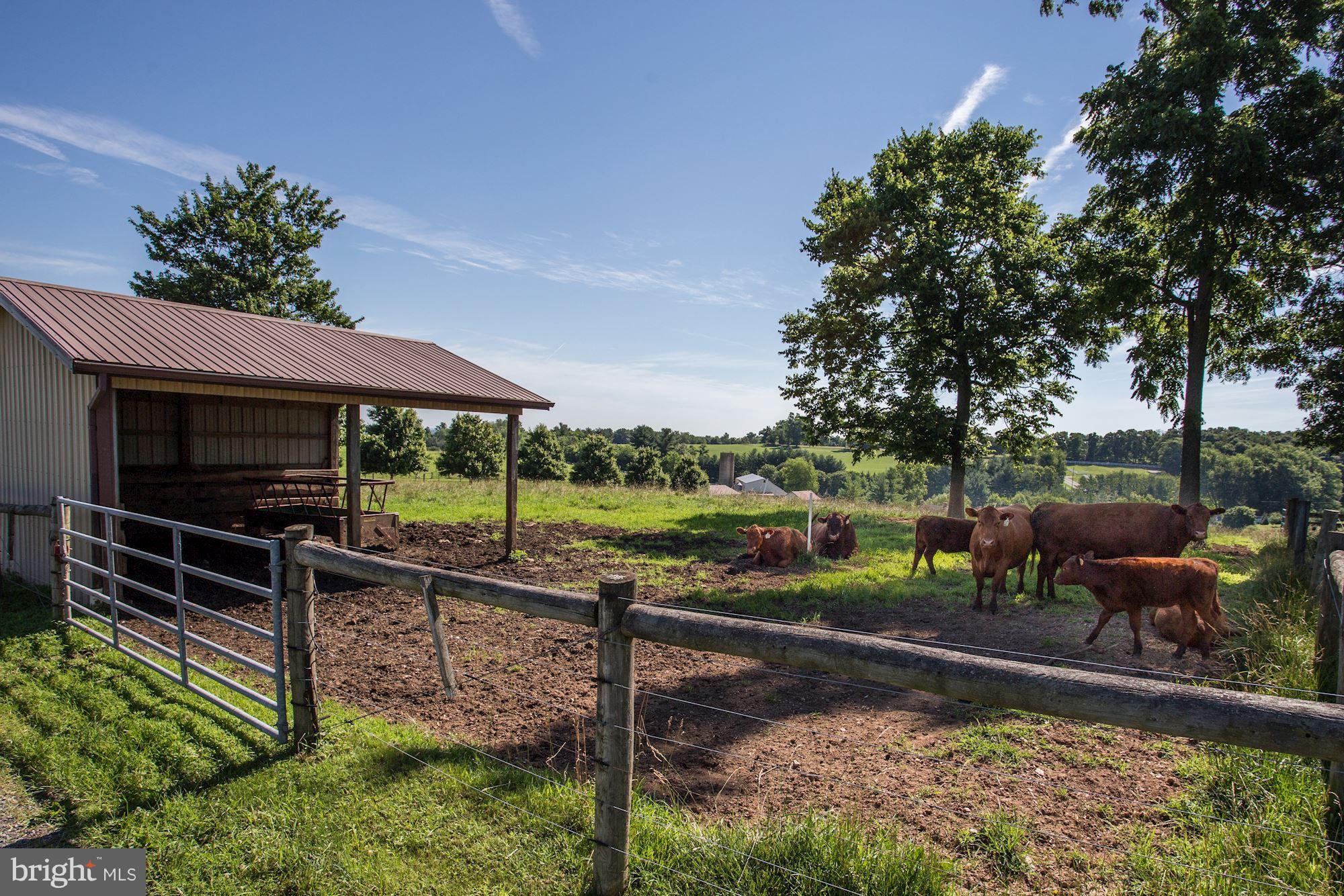 11606 Handboard Road Woodsboro, MD 21798 - Photo 28 of 30 Space for cattle