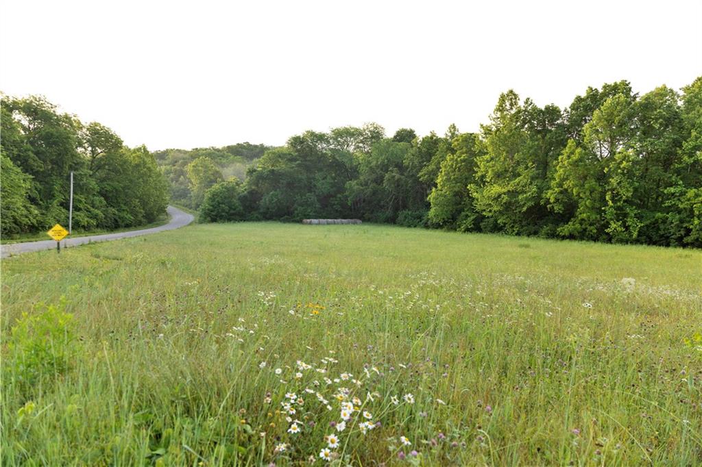 Wilderness Camp Road Lawson, MO 64062 - Photo 14 of 90