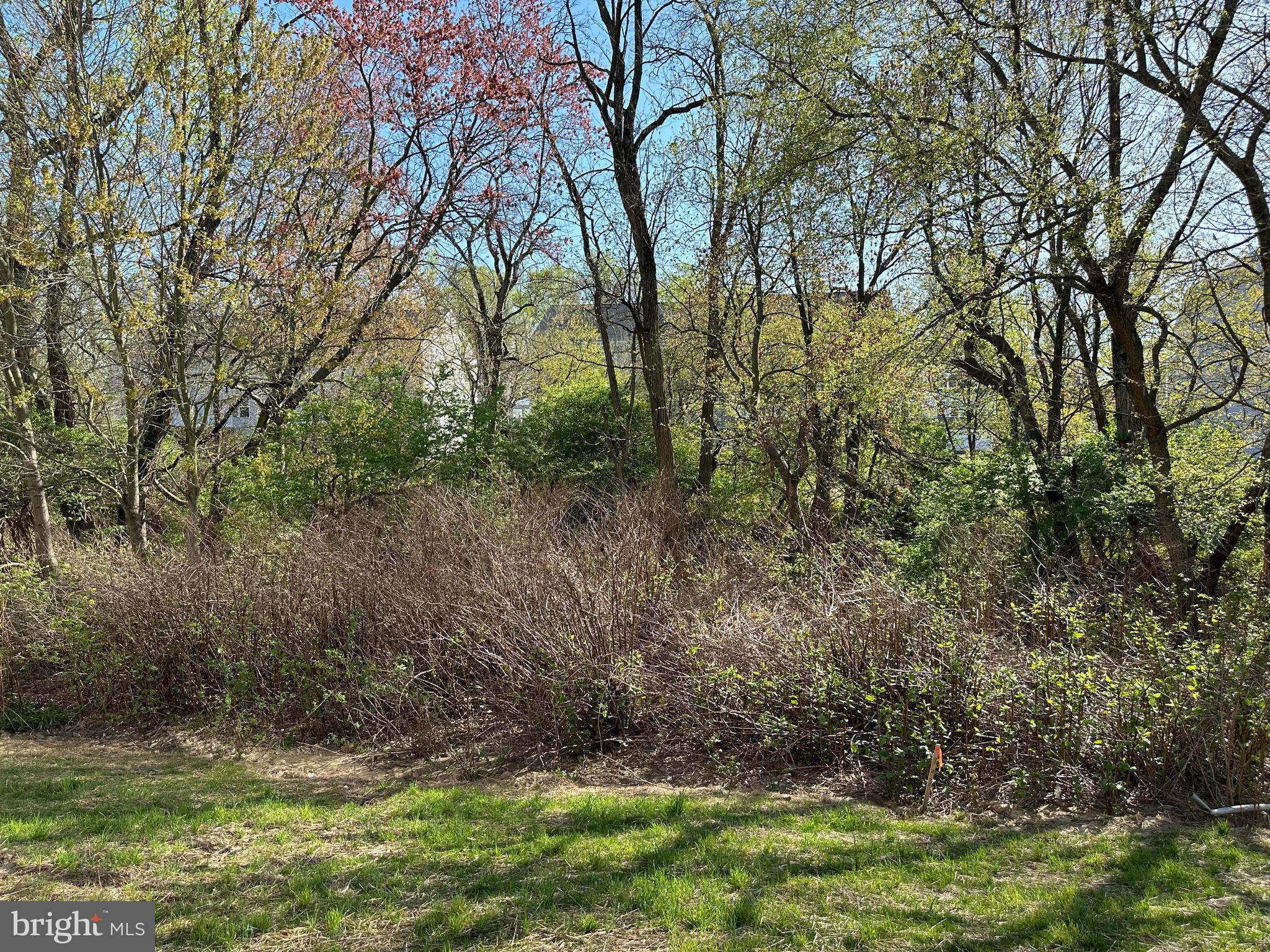 495 Monte Farm Road Mount Laurel, NJ 08054 - Photo 31 of 34 a view of backyard with green space