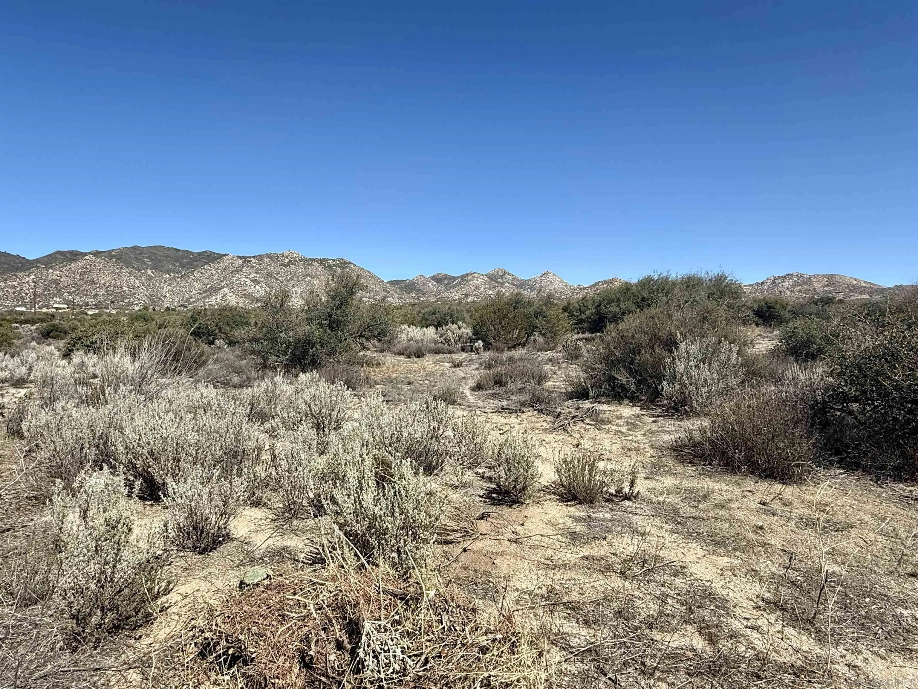 Mcconamara Drive, Unit 12 & 13 Ranchita, CA 92066 - Photo 11 of 20 a view of a yard