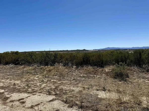 a view of mountain view with lots of trees