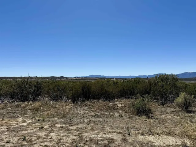 a view of wooden floor