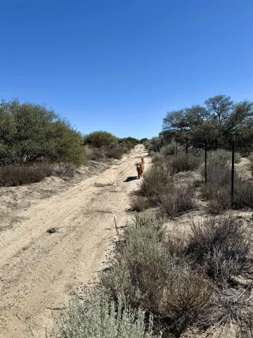 an aerial view of residential house and green space