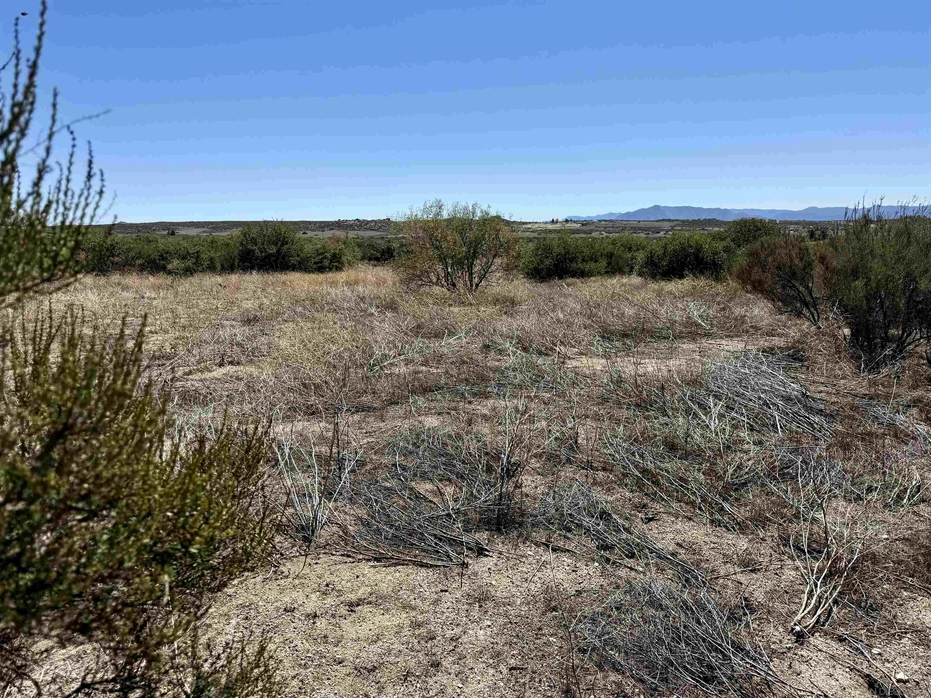 Mcconamara Drive, Unit 12 & 13 Ranchita, CA 92066 - Photo 8 of 20 a view of a field with an trees
