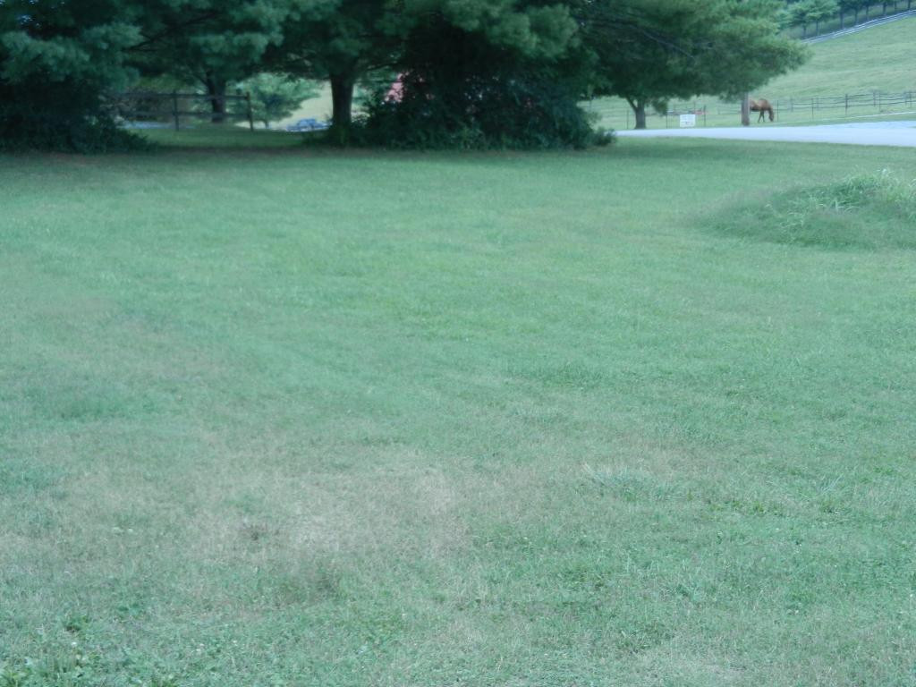 103 Harold Cemetery Road Greeneville, TN 37745 - Photo 6 of 15 Photo 6