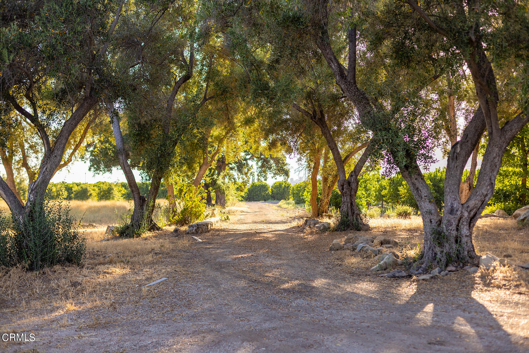 1388 Orange Road Ojai, CA 93023 - Photo 11 of 21 S8C_1388 Orange_10