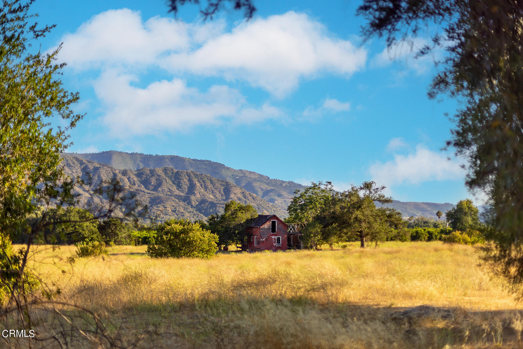 1388 Orange Road Ojai, CA 93023 - Photo 15 of 21 S8C_1388 Orange_14