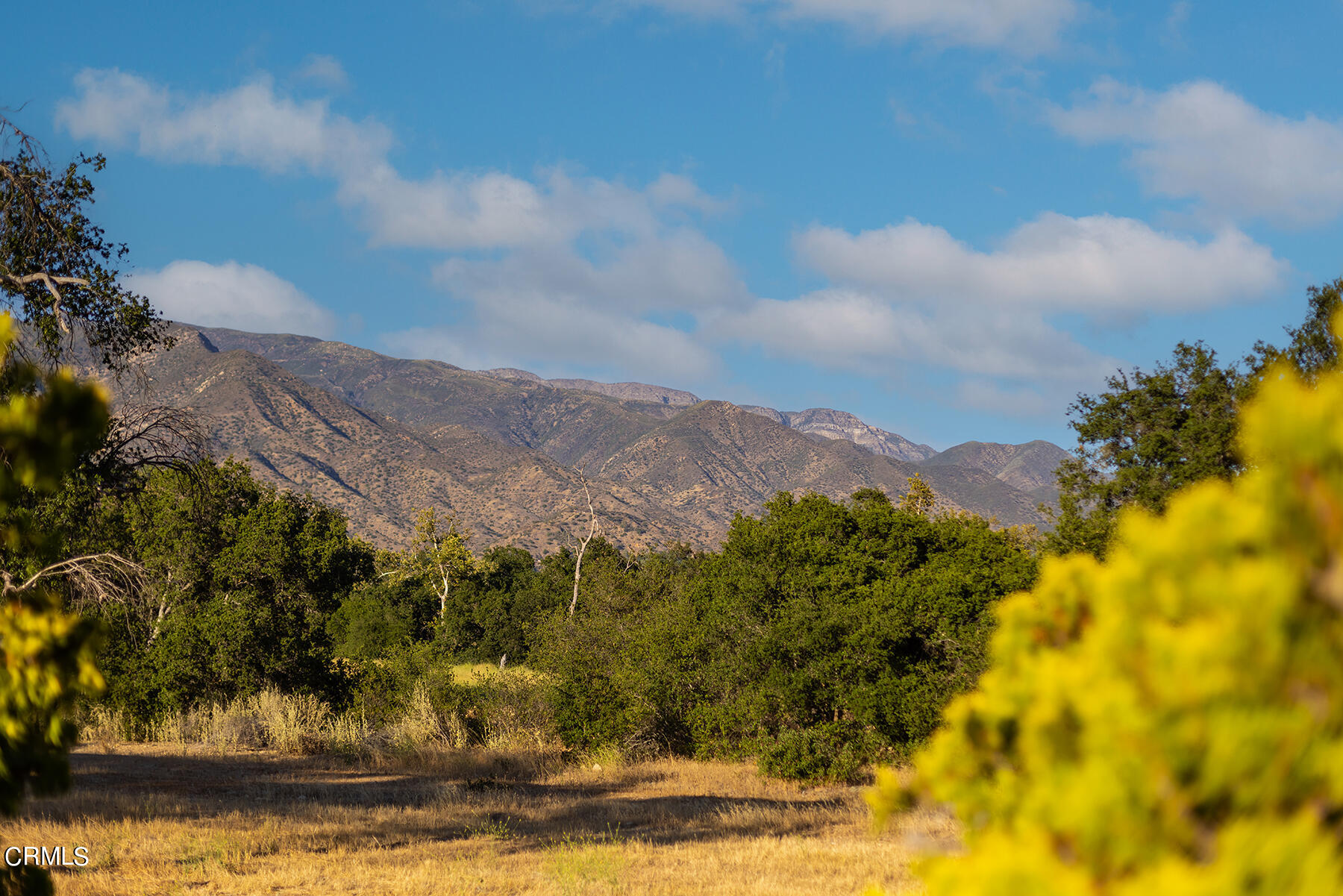 1388 Orange Road Ojai, CA 93023 - Photo 16 of 21 S8C_1388 Orange_15