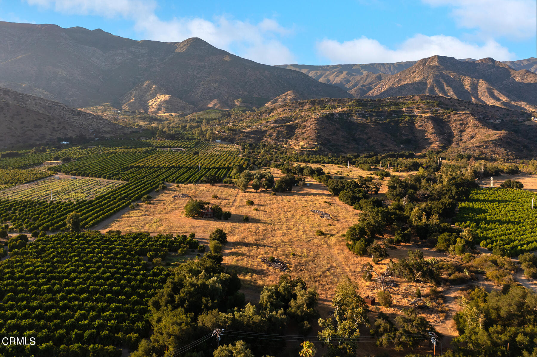 1388 Orange Road Ojai, CA 93023 - Photo 19 of 21 S8C_1388 Orange_18