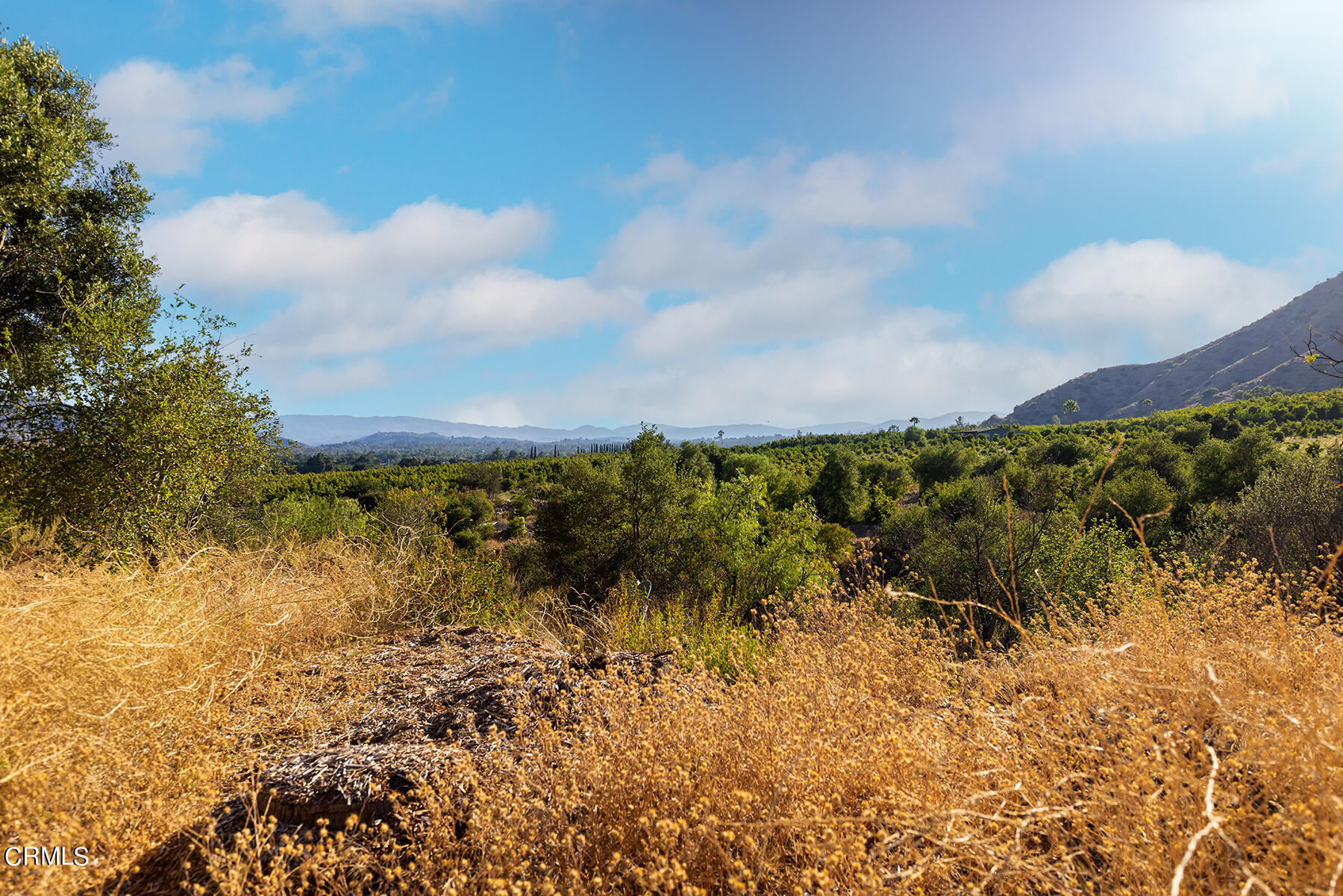 1388 Orange Road Ojai, CA 93023 - Photo 6 of 21 S8C_1388 Orange_03