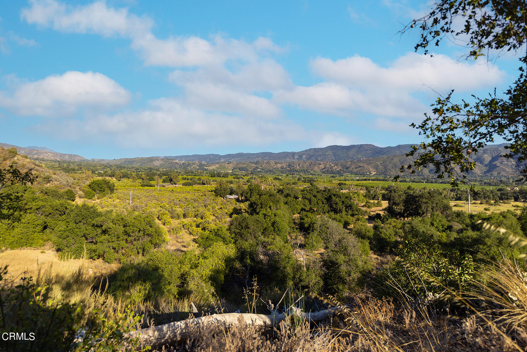 1388 Orange Road Ojai, CA 93023 - Photo 7 of 21 S8C_1388 Orange_05