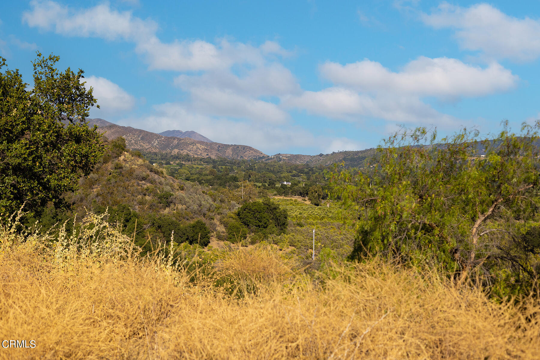 1388 Orange Road Ojai, CA 93023 - Photo 8 of 21 S8C_1388 Orange_06