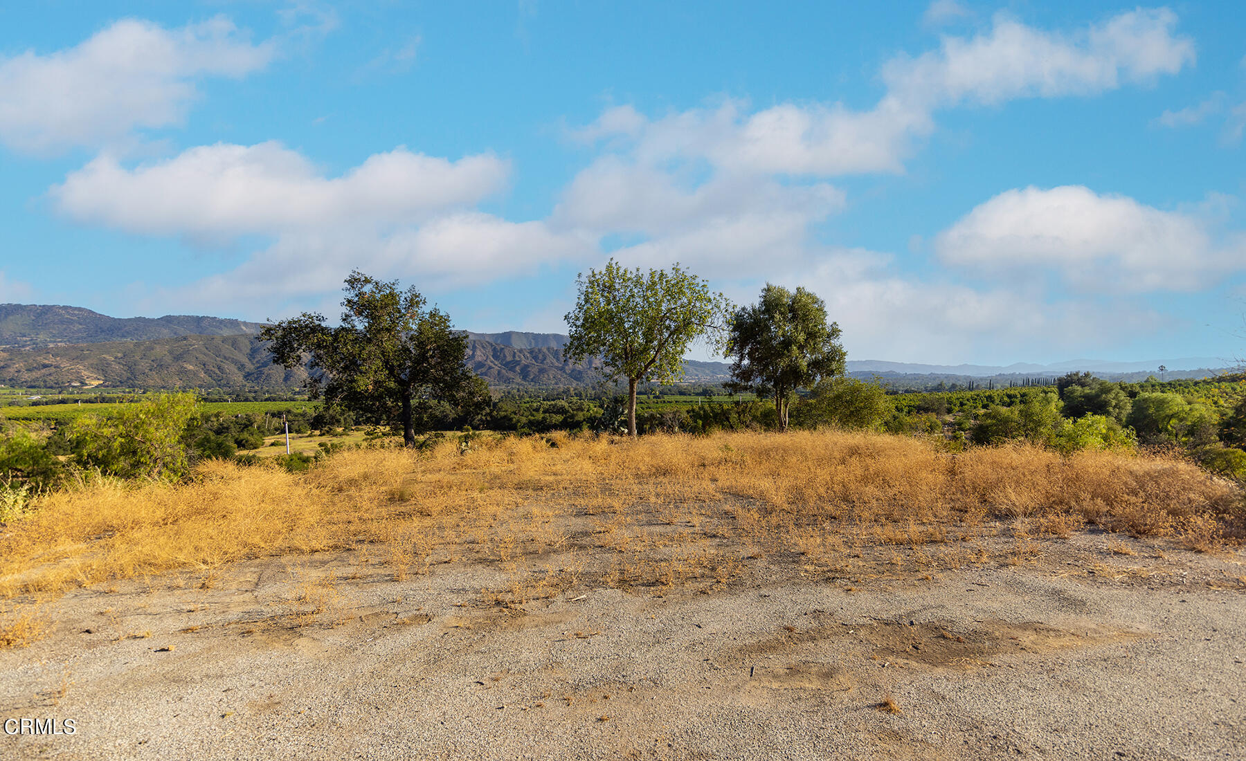 1388 Orange Road Ojai, CA 93023 - Photo 9 of 21 S8C_1388 Orange_07