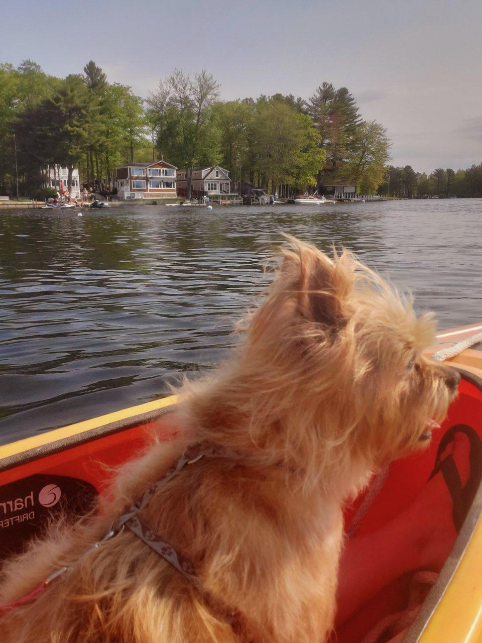 14 Prosperity Lane Windham, ME 04062 - Photo 52 of 63 Loving the breeze