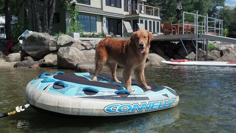 14 Prosperity Lane Windham, ME 04062 - Photo 53 of 63 Should I jump in?