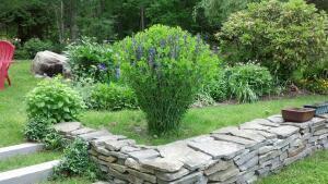 14 Prosperity Lane Windham, ME 04062 - Photo 57 of 63 Yard