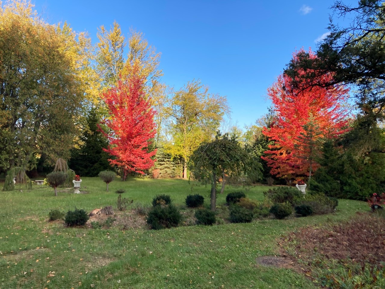 780 West Deerpath Road Lake Forest, IL 60045 - Photo 33 of 35 a view of a garden with plants and trees