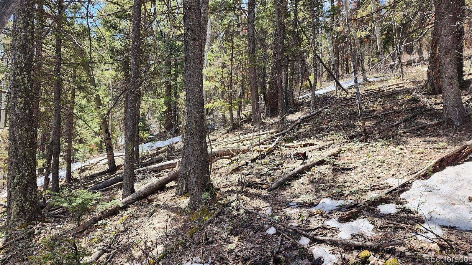 Lot 6318 Geofsmith Road San Luis, CO 81152 - Photo 6 of 22 Gallery Image 6