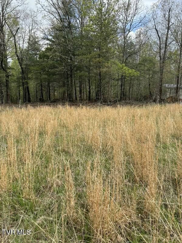 Lot 5 Laws Road, Unit 5 Greeneville, TN 37743 - Photo 3 of 10 image000000