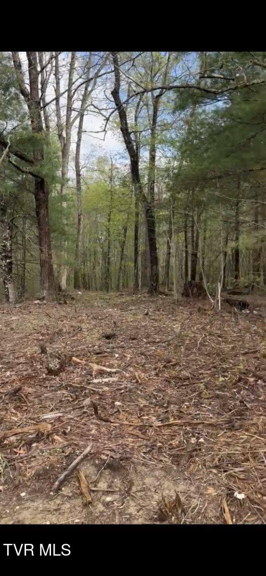 Lot 5 Laws Road, Unit 5 Greeneville, TN 37743 - Photo 6 of 10 image000006