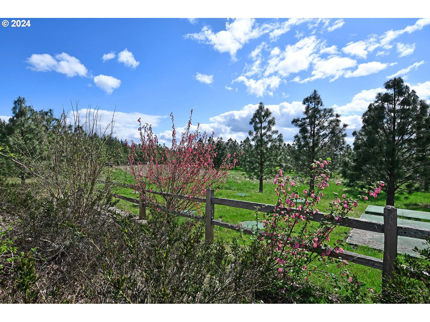 12605 Southwest Strobel Road Beaverton, OR 97007 - Photo 39 of 45 Gallery Image 39