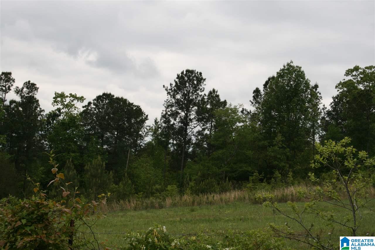 1170 Plant Road, Unit 25 AC Talladega, AL 35160 - Photo 5 of 8
