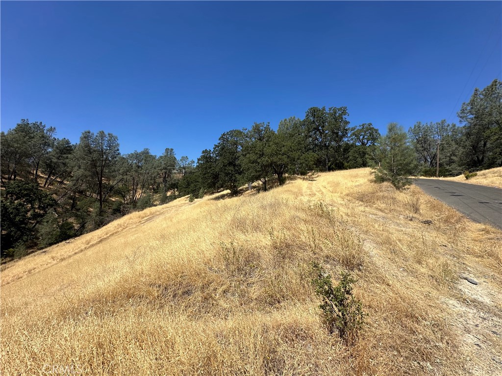16275 Oakridge Road Corning, CA 96021 - Photo 2 of 6