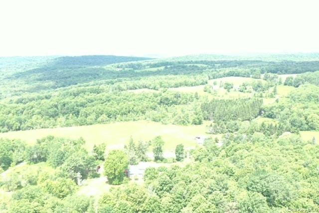624 County Road Fremont Center, NY 12736 - Photo 3 of 40
