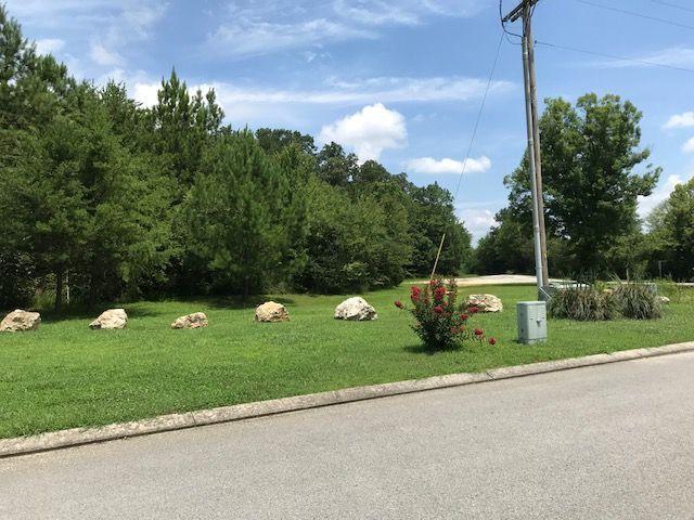 0 Hooper Road Ringgold, GA 30736 - Photo 2 of 12 IMG_0408