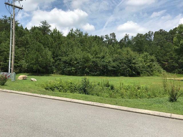 0 Hooper Road Ringgold, GA 30736 - Photo 3 of 12 IMG_0411