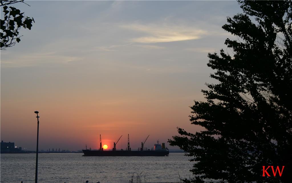 7401 Shore Road, Unit 3A Brooklyn, NY 11209 - Photo 29 of 31