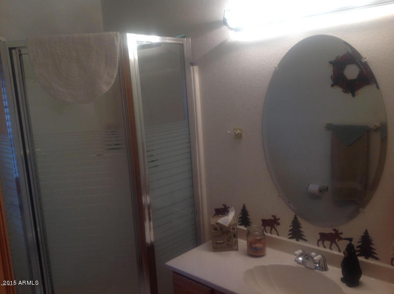3226 Turkey Track Road Pinetop, AZ 85935 - Photo 7 of 23 20150228192159753042000000-o