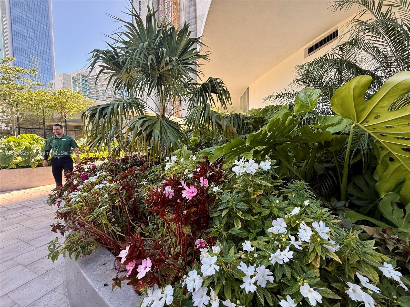 700 Northeast 24th Street, Unit 4305 Miami, FL 33137 - Photo 41 of 54 a view of a flower