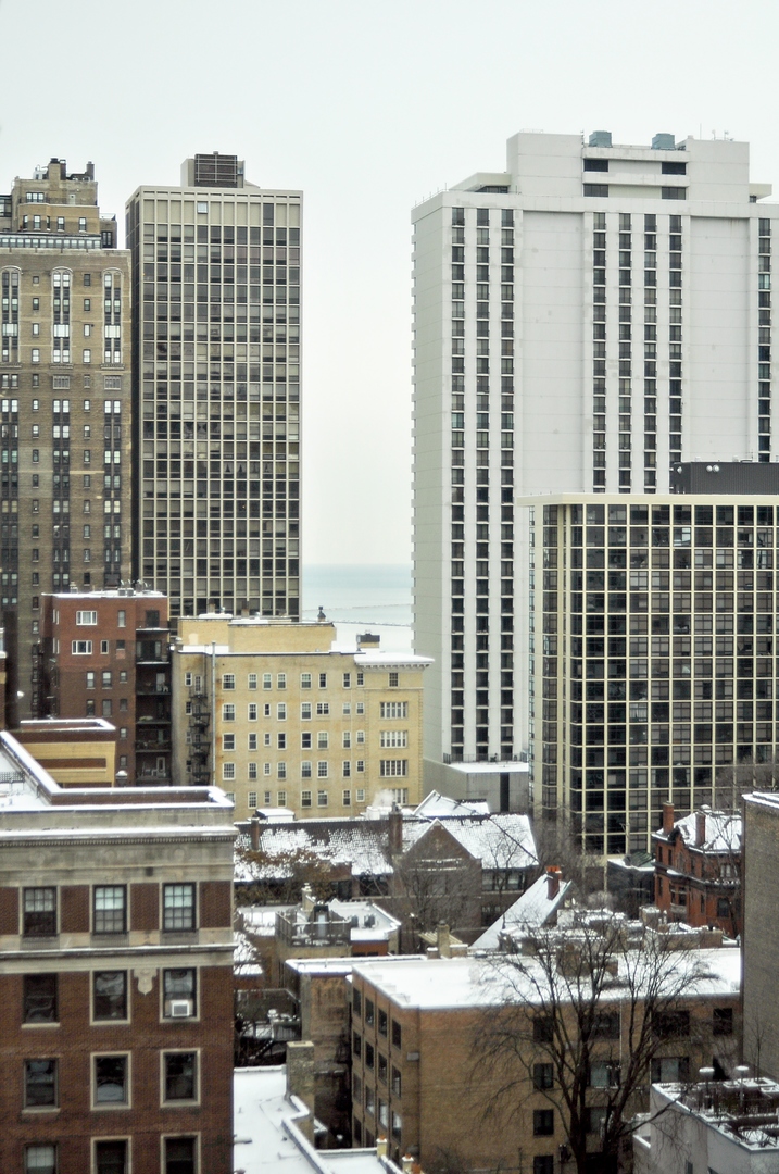 21 West Goethe Street, Unit 16K Chicago, IL 60610 - Photo 10 of 10 a view of a tall building
