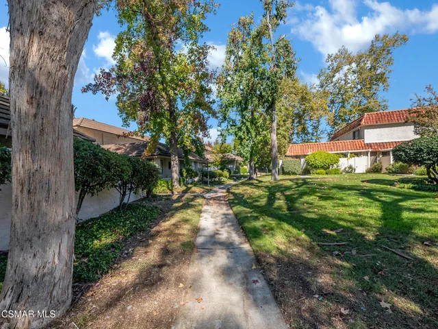 a view of a yard with plants and a large tree
