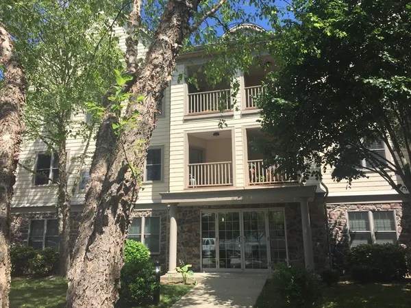front view of house with a tree
