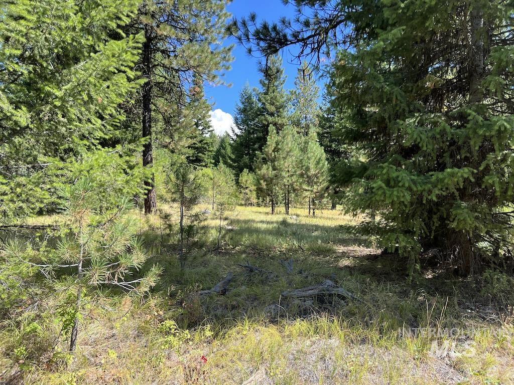 5 Whitefield Lane McCall, ID 83638 - Photo 13 of 23