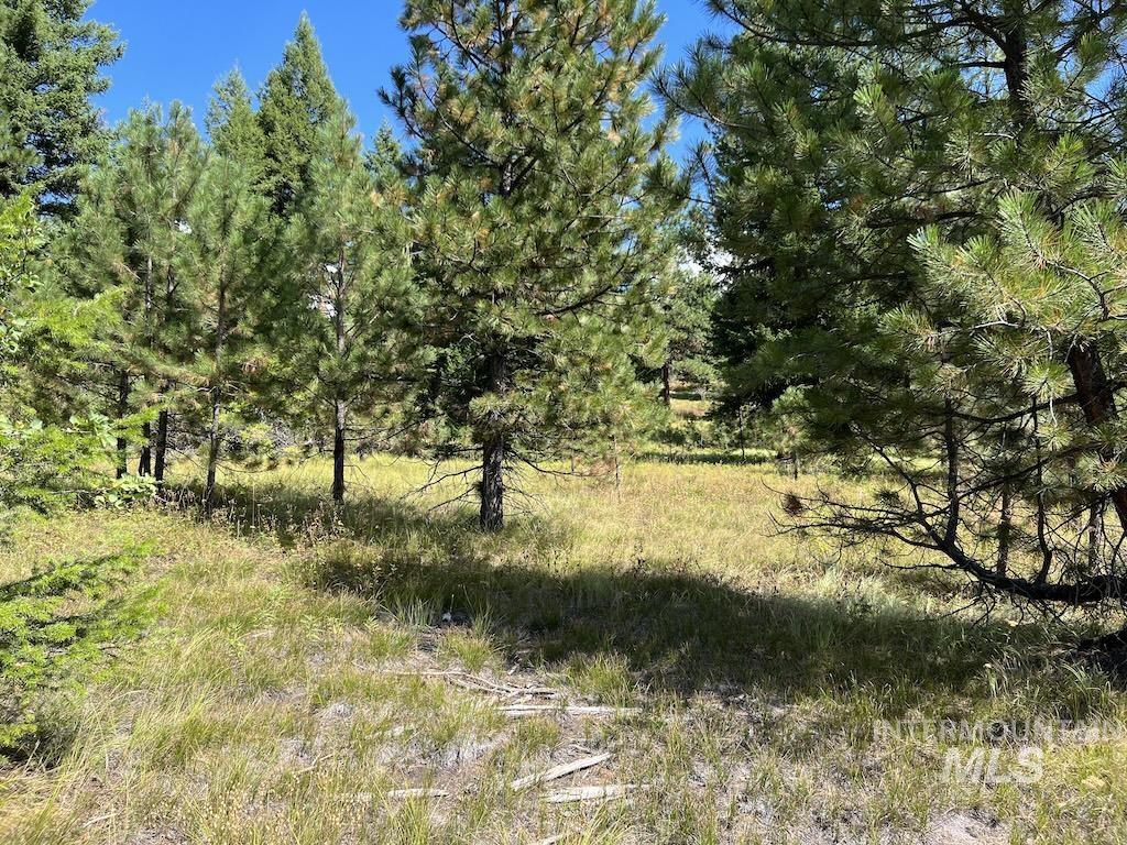 5 Whitefield Lane McCall, ID 83638 - Photo 15 of 23