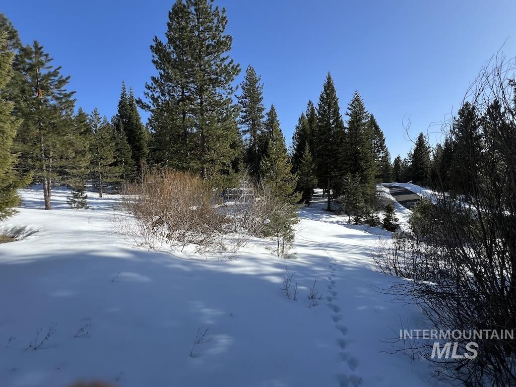 5 Whitefield Lane McCall, ID 83638 - Photo 17 of 23