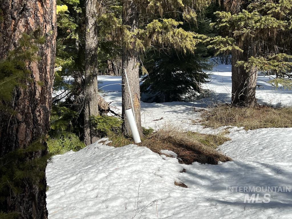 5 Whitefield Lane McCall, ID 83638 - Photo 23 of 23