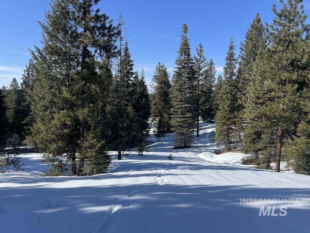 5 Whitefield Lane McCall, ID 83638 - Photo 5 of 23