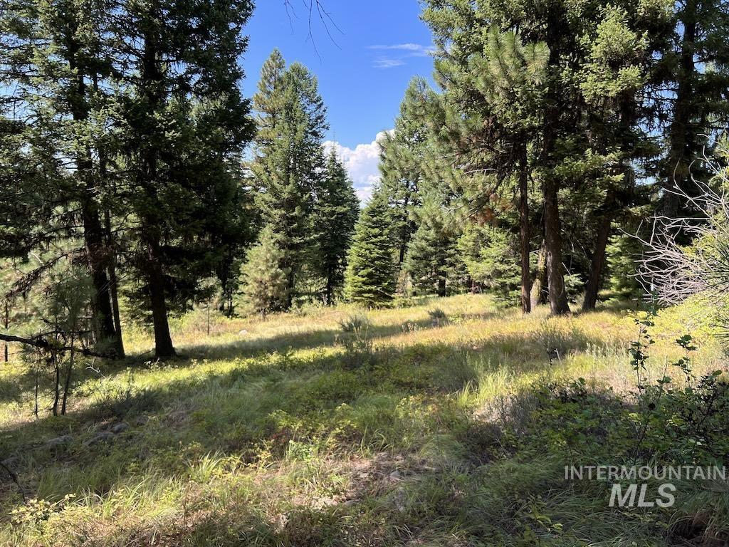 5 Whitefield Lane McCall, ID 83638 - Photo 6 of 23