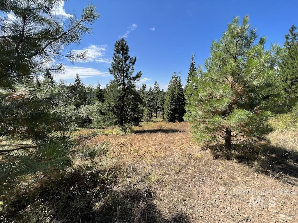 5 Whitefield Lane McCall, ID 83638 - Photo 9 of 23