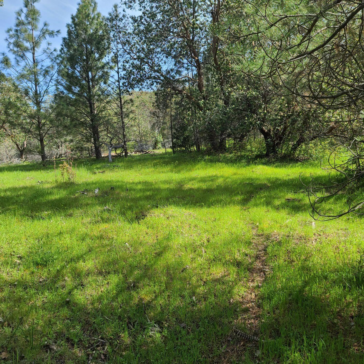 North River Road Central Point, OR 97502 - Photo 3 of 10 a view of yard with green space
