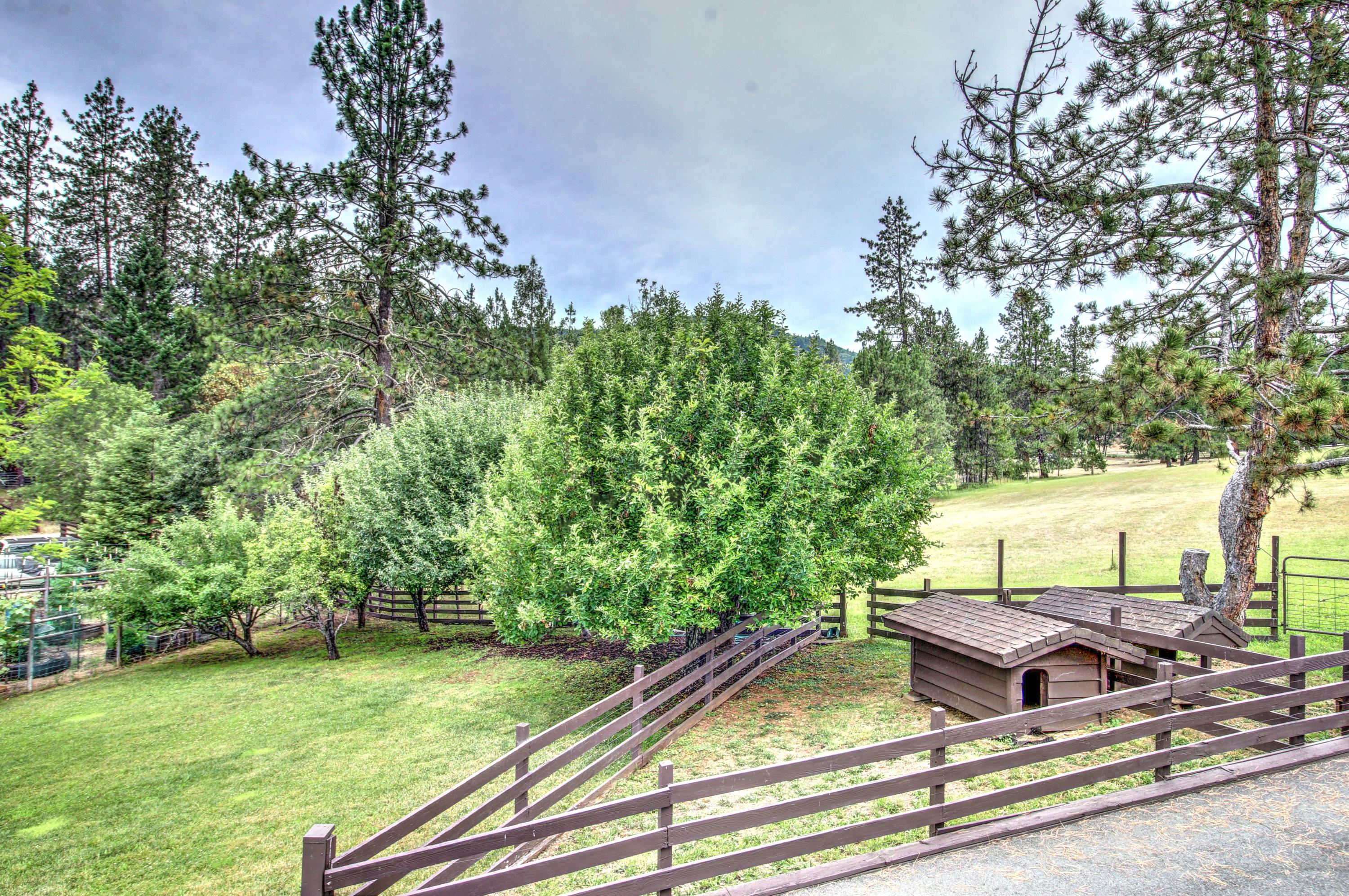 100 Springbrook Drive Grants Pass, OR 97527 - Photo 30 of 57 Dog run