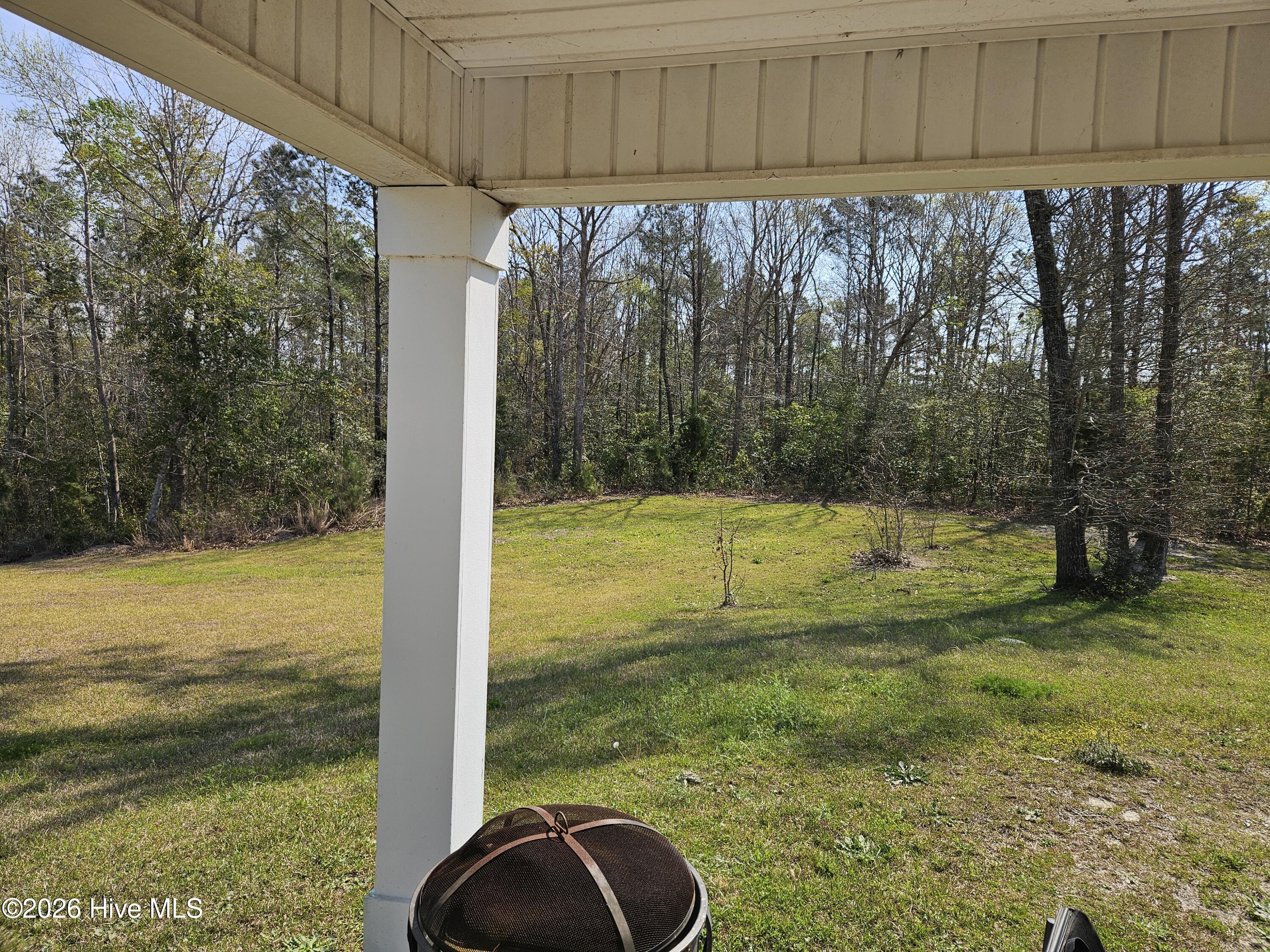 399 High Ridge Court Sneads Ferry, NC 28460 - Photo 19 of 20 h399.19