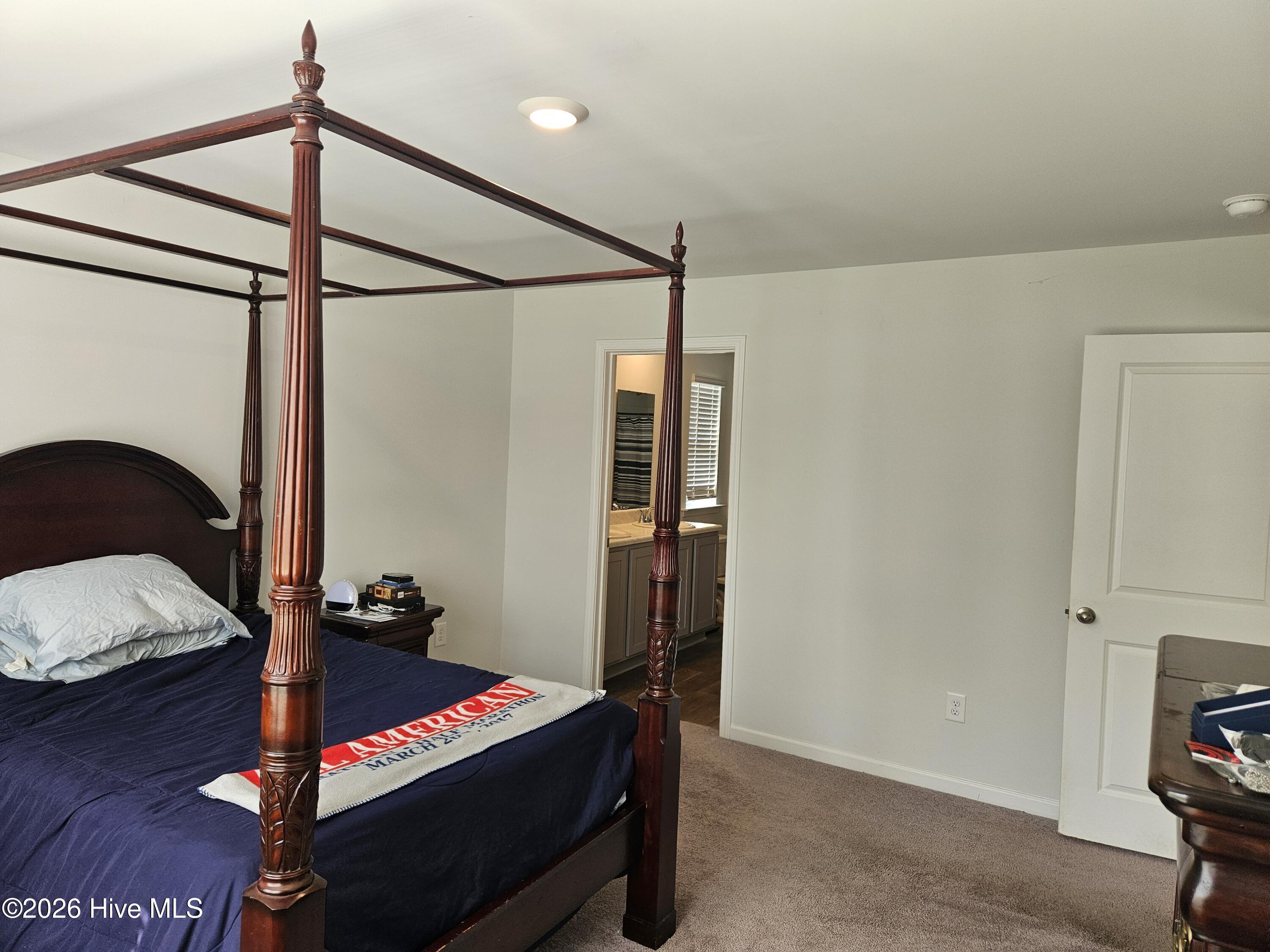 399 High Ridge Court Sneads Ferry, NC 28460 - Photo 10 of 20 h399.10