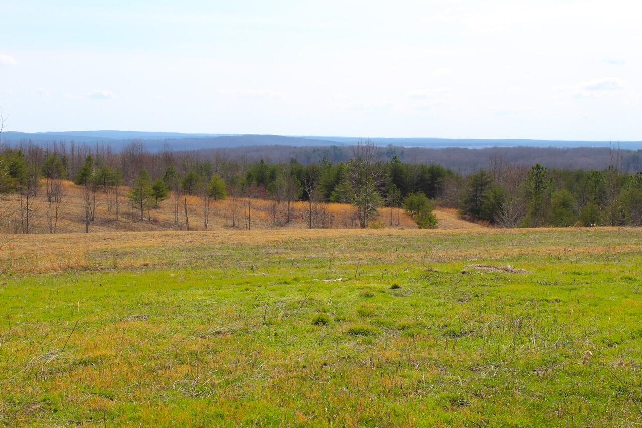 Lot 8 Tower Road Grandview, TN 37337 - Photo 11 of 11 IMG_0174