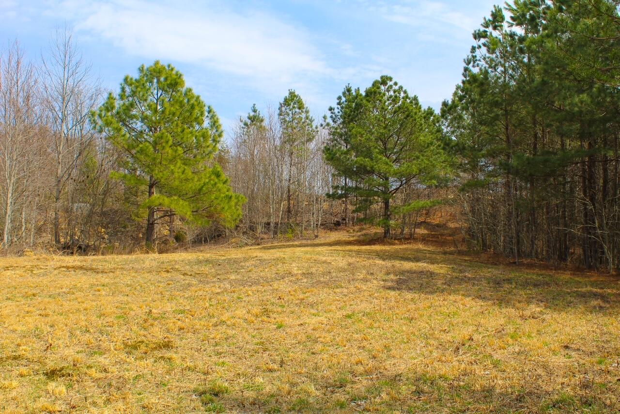Lot 8 Tower Road Grandview, TN 37337 - Photo 2 of 11 IMG_0084